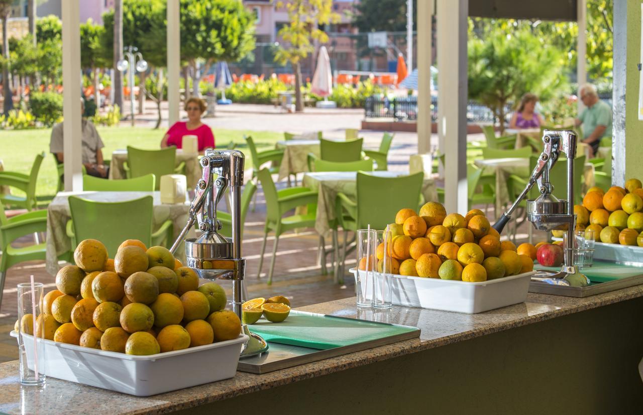 Lonicera Resort & Spa Hotel Avsallar Extérieur photo