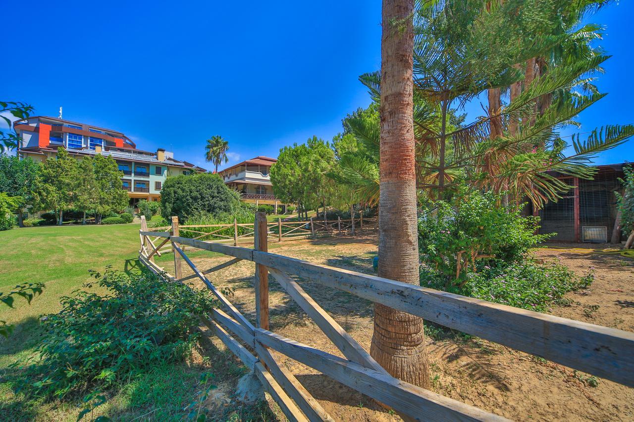 Lonicera Resort & Spa Hotel Avsallar Extérieur photo